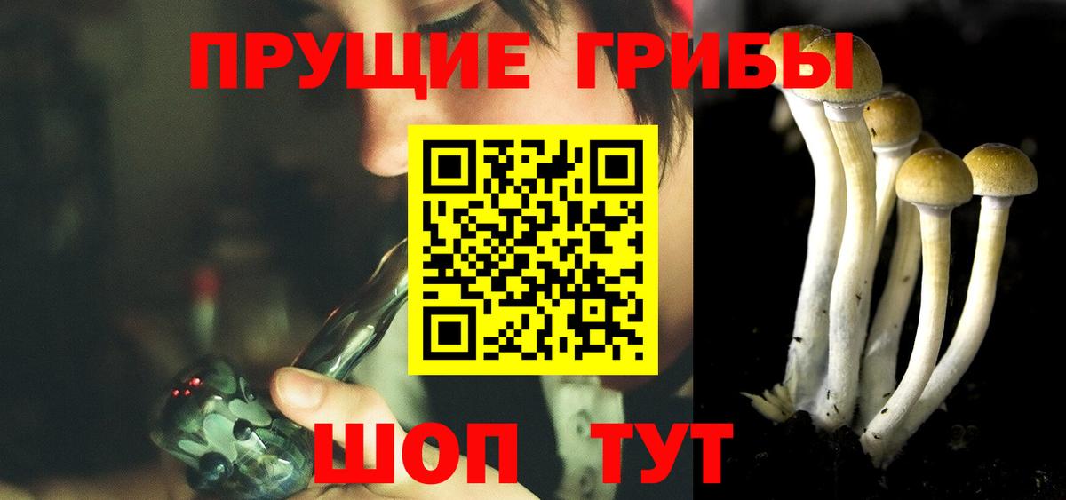 Псилоцибиновые грибы мухоморы  Галлюциногенные грибы Cubensis  Сибай  Вход с VPN 